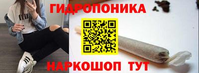 apvp Усть-Илимск