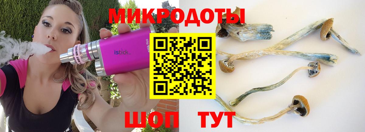 Волжск  Псилоцибиновые грибы MAGIC MUSHROOMS  где можно купить   Вход с VPN 